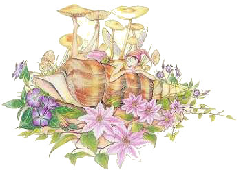 Fairy 27